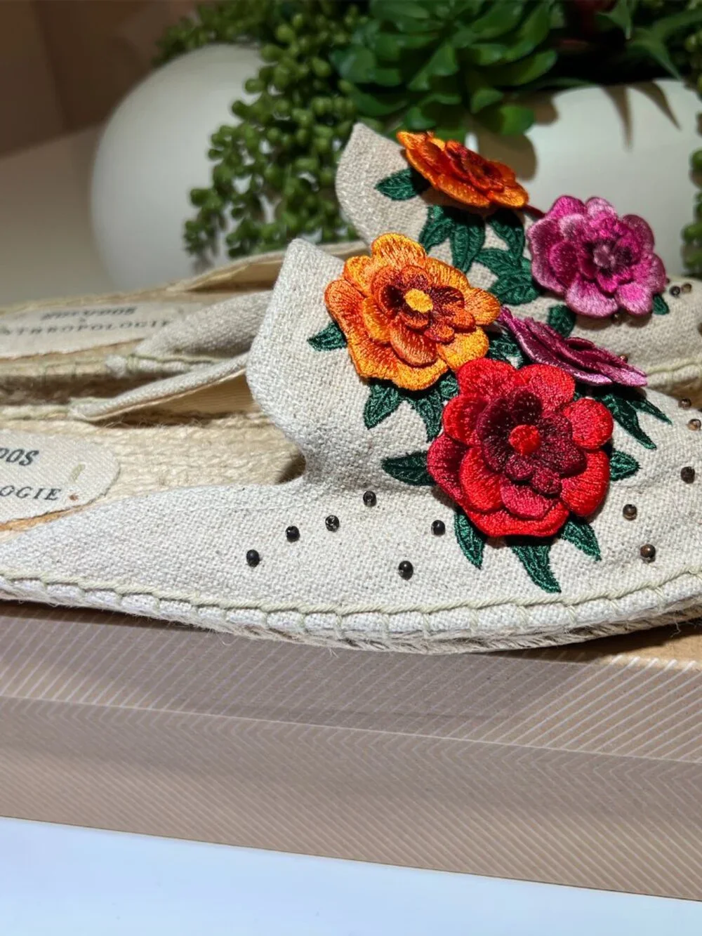 Soludos anthropologie bahia
